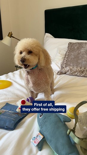 2.8K reactions · 161 shares | Petco’s free shipping, repeat delivery, and same-day options make it easy to keep up with your pet’s needs. | Petco | Facebook