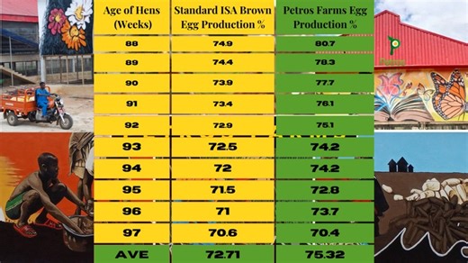 Choosing The Best Poultry Housing For African Farms - Agriculture - Nairaland