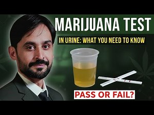 Marijuana | Lecture 5 | Multidrug Testing in Urine | MLT Hub with kamran