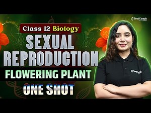 Class 12 Biology | Sexual Reproduction in Flowering Plants | One Shot Revision | NCERT CBSE