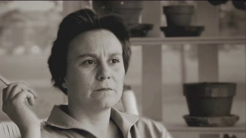 Hey, Boo: Harper Lee and 'To Kill a Mockingbird' (2010)