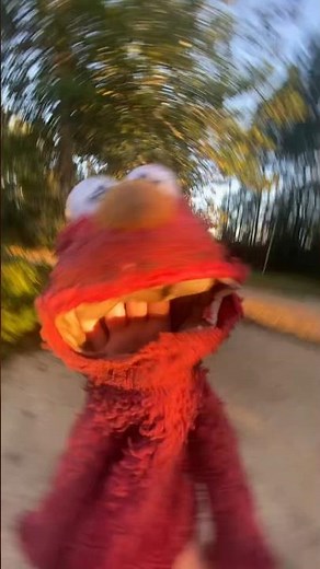 elmo world dance party quiz