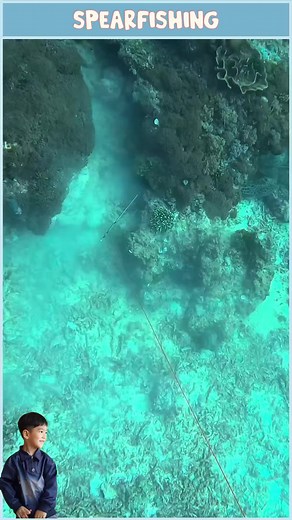 Spearfishing with the locals in Indonesia #spearfishing #fishing #spearfishingworld | Spearfishing