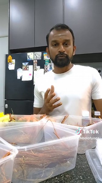 Mandi Bunga step by step guide, all ingredients and instructions listed. 1. Vettivere 2. Shikakai Tree Skin 3. Vellimanje Vere 4. Arugampul 5. Kunyit Hidup ( Manjal) 6. Dried Nannari 7. Yellakai 8. Vettalai 9. Santhanam 10. Serbuk Kunyit( Manjal Powder) 11. Javadhu 12. Attar / Essential oil 13. Himalayan Salt 14. Limau Purut(Kaffir Lime) 15. Lemon 16. Premium Ros water 17. Assorted Natural Flowers 18. Vepillai 19. Thulasi 20. Paneer Mix all and keep refrigerated for 1 day.Then next day, pour the