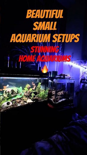 Top Home Aquarium Setups 🐠🔥| Beautiful Small Aquarium Setups | #communityaquarium ‪@GarvitAquaLife‬