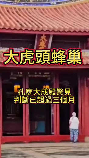 台南孔廟驚見超大虎頭蜂巢的處理方法