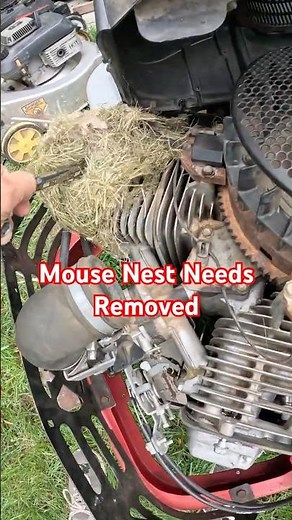Should Have Prevented This Sooner #mowermaintenance #youtubeshort #smallengine