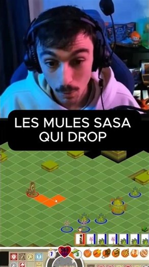 La SAGESSE influx le DROP sur DOFUS ?!