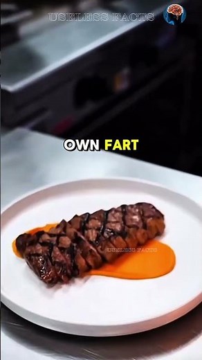 Funfacts you should know 🤔😂 #didyouknow #funfacts #facts #uselessfacts #yt #funnyvideo
