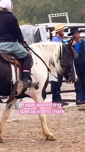 This pinto mare was a work horse that just started transitioning to riding. She’s at the sale and I’m interested. #draftcross #horsesale | Queen of Horse