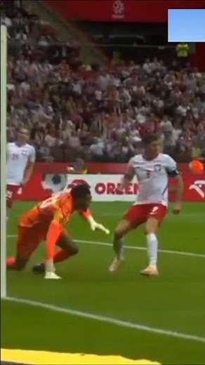 Maduka Okoye's brilliant double save vs Poland 🔥