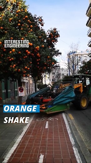 229K views · 1.2K reactions | Picking fruit from trees can be tiresome, however, this method of shaking is super quick. | Interesting Engineering | Facebook