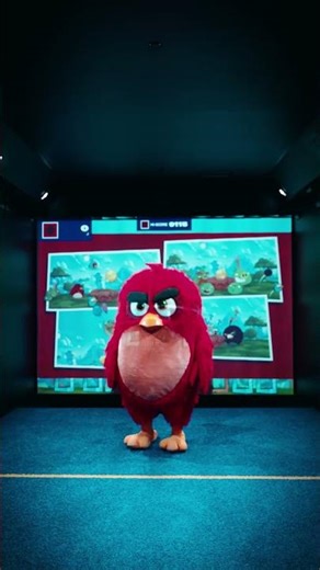 Angry Birds is now a FOOTBALL game?! ⚽😱 Angry Birds x TOCA Social