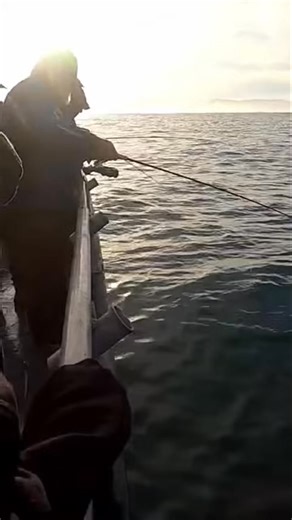 Keeper Lingcod.#fishing #lingcod #ocean #pnw #oregon #pacific #newport #catch #charter #saltwater | Noah Pope | Facebook