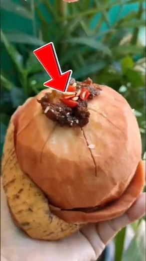 Santol (Cotton Fruit): The Sweet-Tangy Superfruit You Need to Try | Health Benefits & Uses!