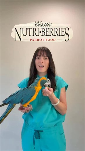 7.5K views · 69 reactions | At my hospital, every bird visit ends on...