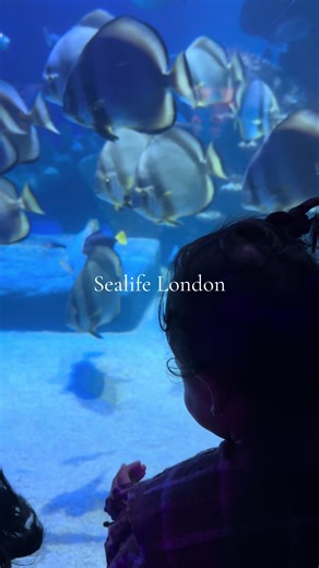 Learning about habitats for science (KS1) and nothing beats seeing things up close and personal, (also a little treat for baby no3, who turned one 😢) Saw lots of different habitats and did a treasure hunt worksheet we found online as we went round the aquarium… always amazing ! #homeed #homeeducationuk #sealife #muslimhomeschool #science