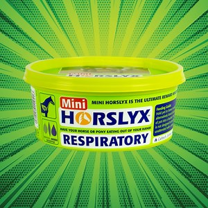 15 reactions | Mini Horslyx is the perfect choice for horse owners who want to reward, distract (or bribe!!) their horse or pony with a nutritious alternative to sugary treats.  Mini Horslyx comes in handy 650g tubs and is available in Original, Mint, Garlic, Respiratory, Mobility and Pro Digest formulations as well as our brand new, limited edition banana flavour too  Find your nearest stockist https://bit.ly/3mZg61u | Horslyx | Facebook
