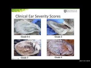 Adam M Hering: Testing of new options for the treatment of Psoroptes ovis in bighorn sheep