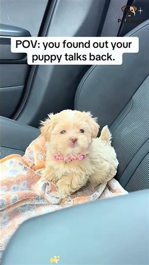 Thank you for watching, thank you for liking, I wish you happiness. #pov #foryou #storytime #fyp