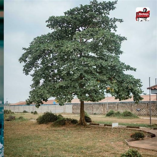 Understanding Your Drain System Tips for Homeowners