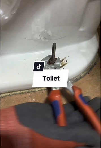 How to Easily Replace a Toilet Step-by-Step Guide