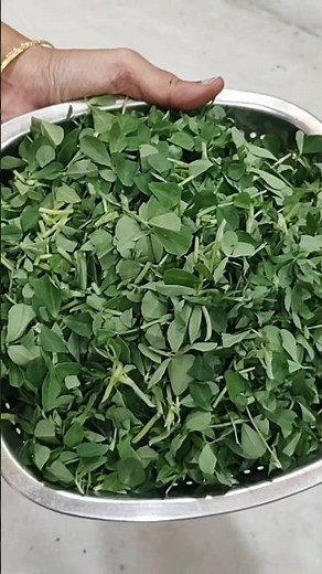 Homemade kasuri methi recipe | How to make kasuri methi at home