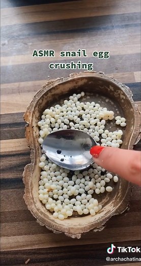 another lot? #snails #snailtok #snailtiktok #asmr #crushing #snailmother #achatinafulica #giantsnails