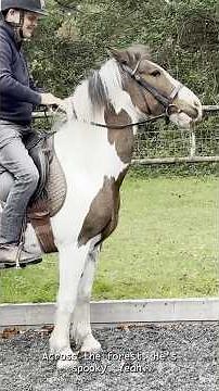 Bolting!!! Spooking and Bucking