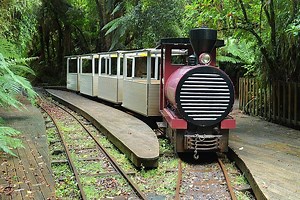 Top of the South Island Train Tour