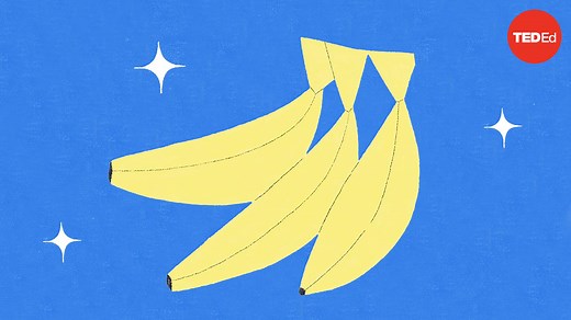 The dark history of bananas