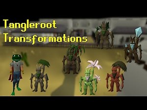 All the tangleroot forms close up