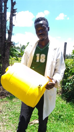 How to install a nipple drinker for your Pigs at a low cost part 2. The best gift you can gift your pig is a nipple drinker #pig #pigs #pigtok #piggeryfarm #agriculture #foryou #manea_farm