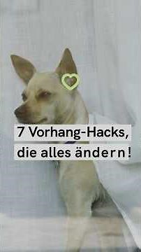 Gardinen waschen 🧼 7 Tipps für saubere Vorhänge 🪟