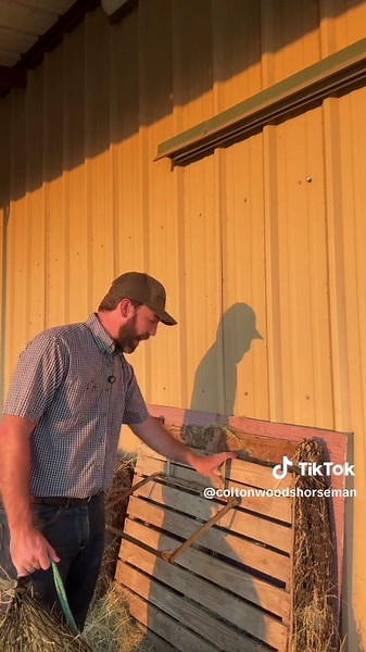 Top Benefits of Using Hay Nets for Horses