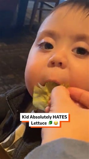 My kid absolutely HATES lettuce 🥬😂 | Twisted