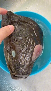 17K views · 773 reactions | Kenal Tak? | Rayner ray | Facebook