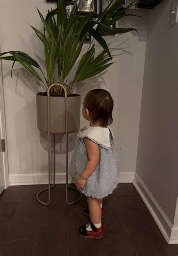 My little yelibug #ladybug #ladybugshoes #OOTD #crackerbarrel #yelifits