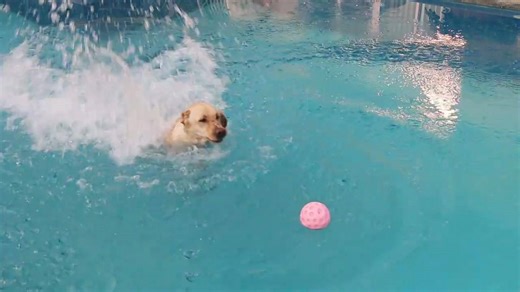 49K views · 466 reactions | When there's only one doughnut left......