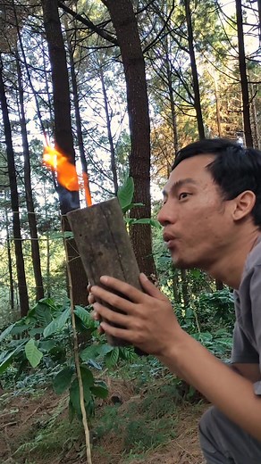 Inilah swedish fire torch yang cocok buat masak-masak, salah satu metode perapian terbaik yang memanfaatkan kayu dengan jumlah terbatas, seperti cintamu yang terbatas hanya pada mantan, disini juga saya akan sedikit menjelaskan beberapa tipe swedish fire torch yang mana ada beberapa macamnya, gak cuman yang dilubangi doang. #bushcraft #swedishfirelog #firecraft #campfire #fire #outdoorcooking #outdoorsman #outdoors #forest #jungle #tipsandtricks #tips #auger #api #bocahhutan666 #skills