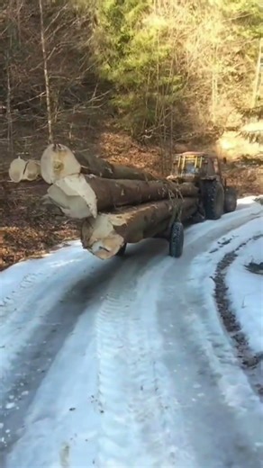 Hai să vedem cine știe, câți metri cubi sunt aici? 🤔📏 #metri #cubi #apuseni #natură #belis