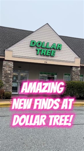 Amazing New Finds at Dollar Tree