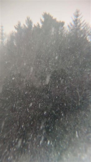 Calling all #NationalLottery funded projects! 📣 Have you signed up for National Lottery Open Week yet? From 7–15 March 2026, join hundreds of projects in saying a huge thank you to the players who raise £30million for good causes like yours every single week. 🤞 It’s also the perfect way to attract new visitors, showcase what’s special about your project and highlight your amazing work for heritage in Scotland 🌟 Find out more and register your offer - link in comments: [video shows snow fallin