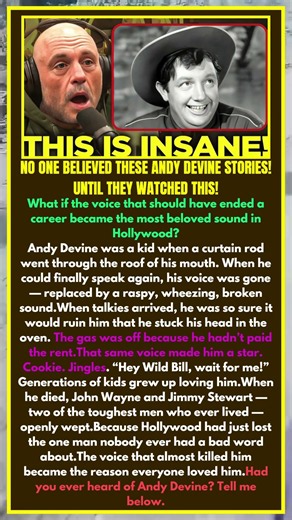 No One Believed These Andy Devine Stories! Until They Watched This!