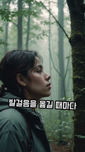 삼십 미터 잣나무 숲이 주는 완벽한 힐링! 국립횡성숲체원 산림치유 숲길