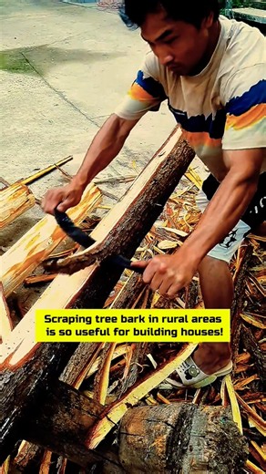 Scraping tree bark in rural areas is so useful for building houses! #woodscraft #woodwork