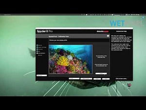 Review: Datacolor SpyderX Pro