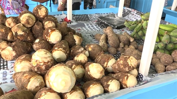 The Ministry of Agriculture is informing the public of a new plant disease, Yam Rust. Given the critical significance of yams as a staple tuber, the presence of this disease has serious implications for the livelihoods of farmers. | Dbstvstlucia