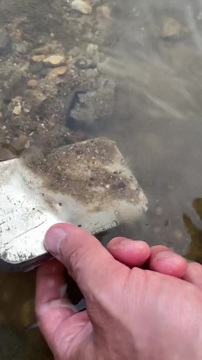 It's amazing what to find on ancient abandoned beaches 🧐🤩