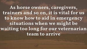 Learning First Aid for Your Horses: A Must-Know Guide for Every Owner When you own a horse, accidents and health emergencies can happen at any time. Knowing basic equine first aid can make all the difference in stabilizing your horse until a vet arrives. Whether you're dealing with a wound, colic, or lameness, having the right knowledge and tools on hand is essential. Why Learn Equine First Aid? Horses are large, powerful animals that can easily injure themselves. They are also prey animals, mea